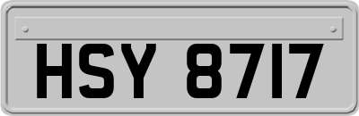 HSY8717
