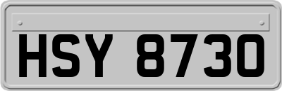 HSY8730