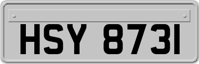 HSY8731