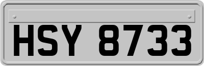 HSY8733