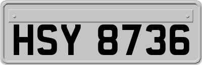 HSY8736