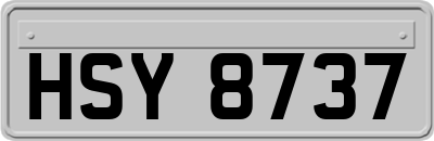 HSY8737