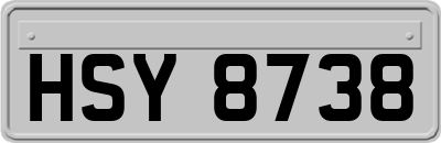 HSY8738