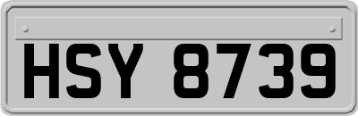 HSY8739