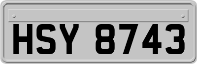 HSY8743