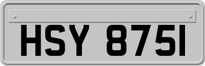 HSY8751