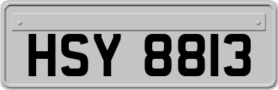 HSY8813