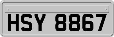 HSY8867