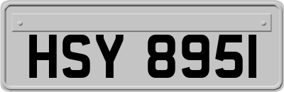 HSY8951