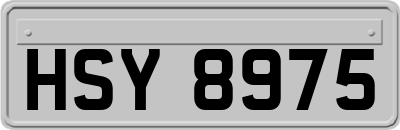 HSY8975