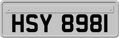 HSY8981