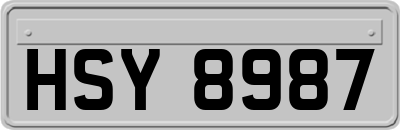 HSY8987