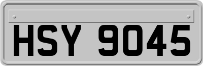 HSY9045