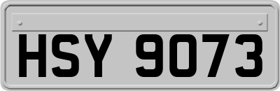 HSY9073