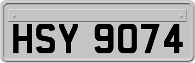 HSY9074