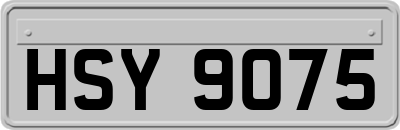HSY9075