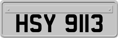 HSY9113
