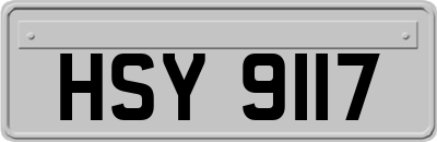 HSY9117