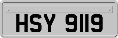HSY9119