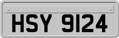 HSY9124