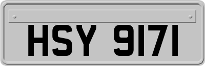HSY9171