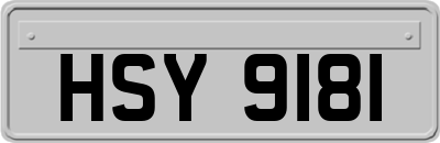 HSY9181