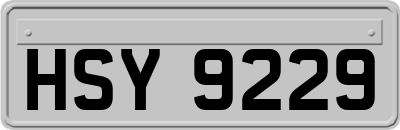 HSY9229