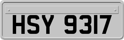 HSY9317