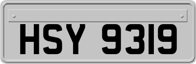 HSY9319