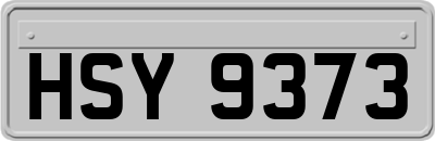 HSY9373
