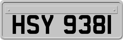 HSY9381