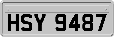 HSY9487