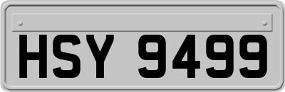 HSY9499