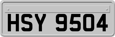 HSY9504