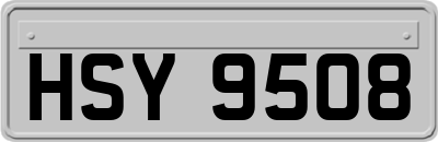 HSY9508