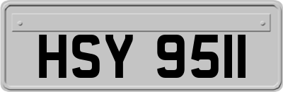 HSY9511