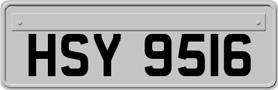 HSY9516