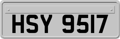 HSY9517