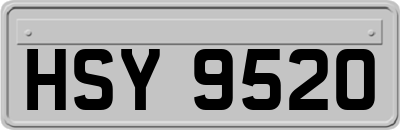 HSY9520