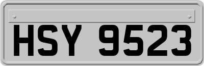 HSY9523