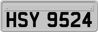 HSY9524