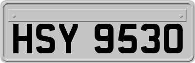 HSY9530