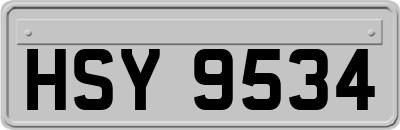 HSY9534