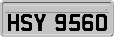 HSY9560