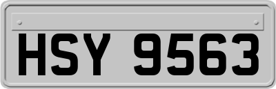 HSY9563