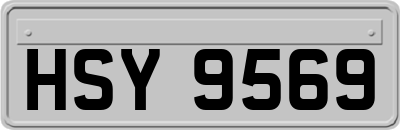 HSY9569