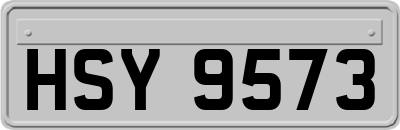 HSY9573