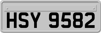 HSY9582