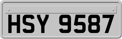 HSY9587