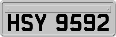 HSY9592